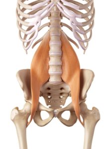October is Psoas month at Altius